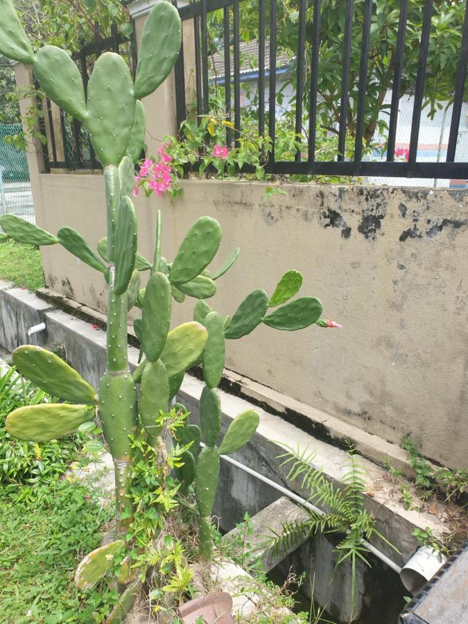 Lavender Impian Homestay Kajang Luaran gambar